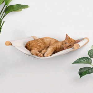 Cat Wall Hammock Wall Mounted Cat Kitty Bed Funiture with Stable Shelves